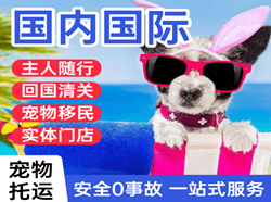莫力达瓦旗航空邮寄国际宠物托运 【国